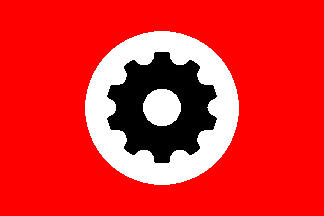 M.N.S. flag